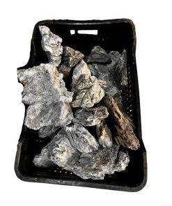 Dragon Rock
